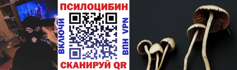 площадка как зайти Аксай Галлюциногенные грибы Psilocybine cubensis